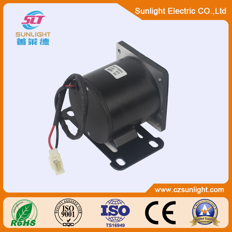 Slt DC Electric Motor 24V Brush Motor for Power Tools