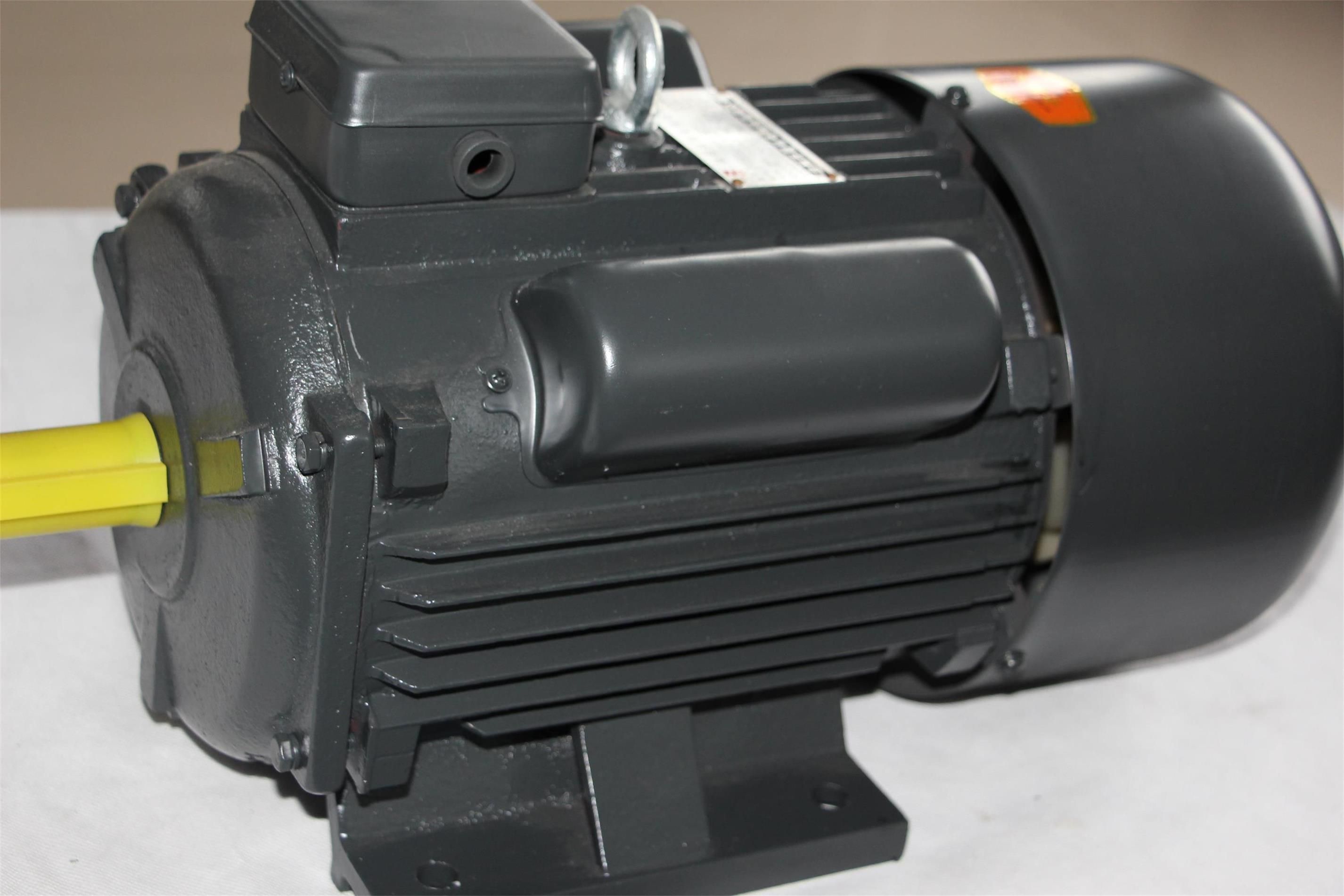 220V Single Phase Induction Small Electric Motor with Starting Capacitor