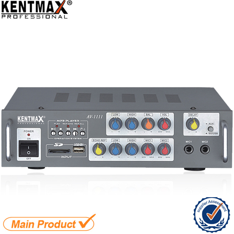 2 Channel 4 Ohm Professional Home Amplifier