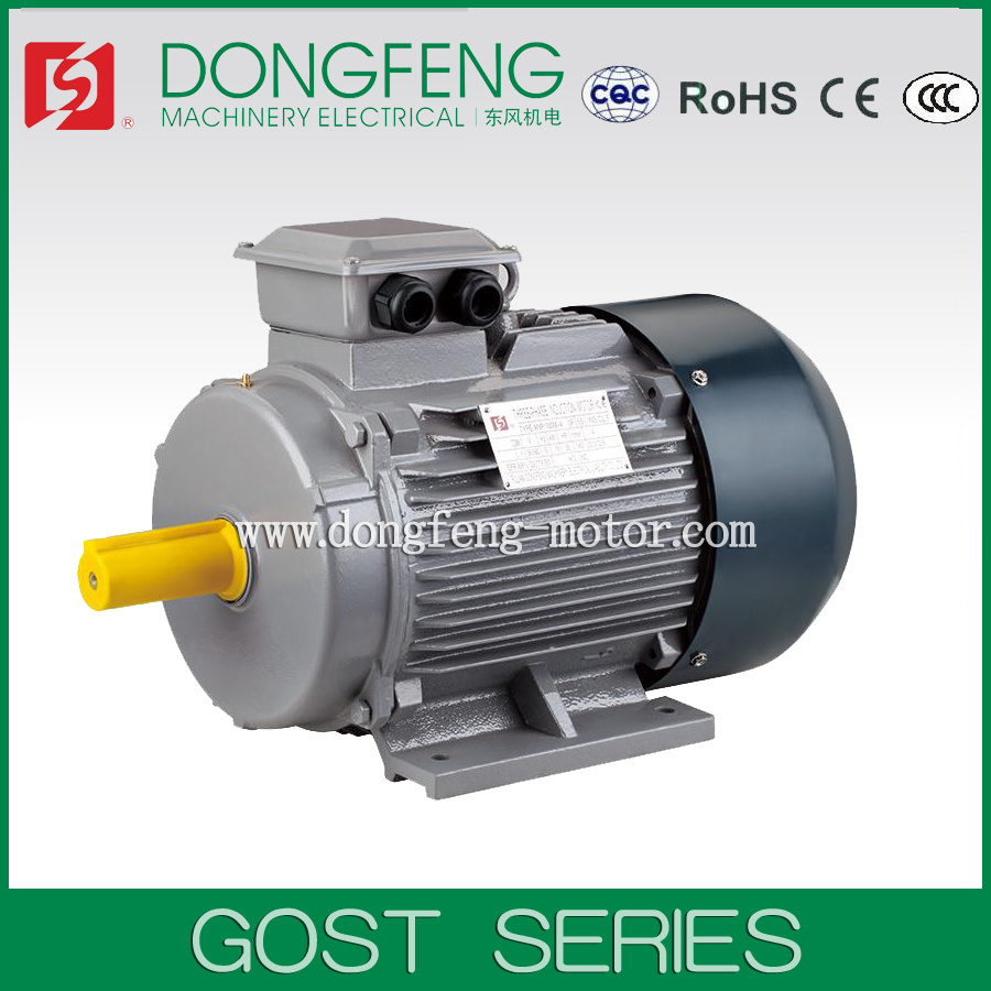 GOST Standard Totally Enclosed Three Phase Electric Motor