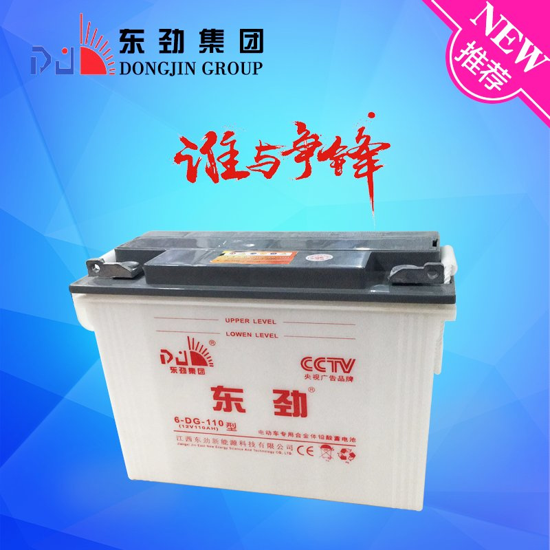 6-Dg-110 Electric Tricycle Battery 12V 110ah Battery