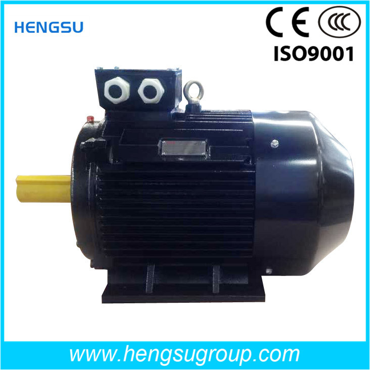 IE2 IE3 High Efficiency Asynchronous AC Electric Three Phase Induction Water Pump Air Compressor Squirrel Cage Motor