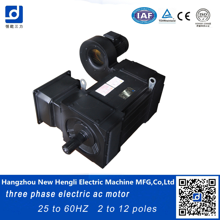 China Variable Speed High Torque AC Motor