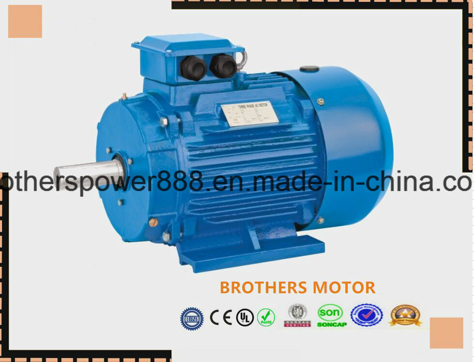 Y2 AC Electric Motor (Y2, YE2, YE3, ANP) Anp Mptor