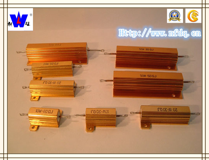 Rx24 Metal Fixed Resistor with ISO9001