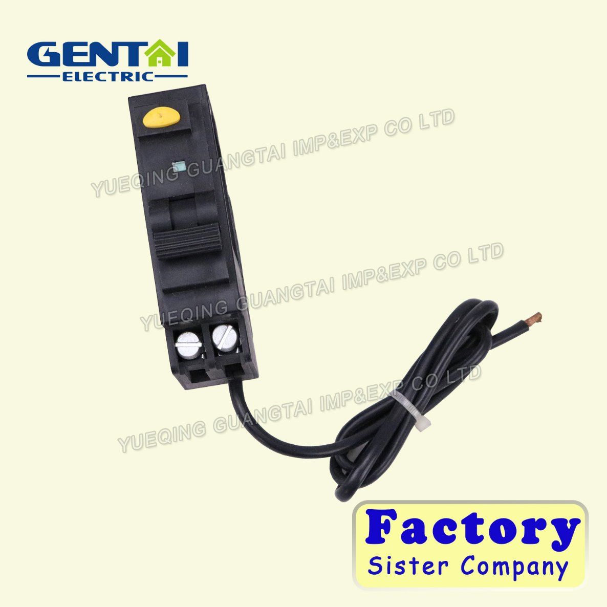 Good Quality Residual Current Circuit Breaker / RCBO/RCD/RCCB