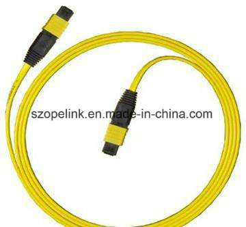 MPO-MPO Fiber FC-FC Optic Patch Cord Sm Simplex for Qsfp -Qsfp