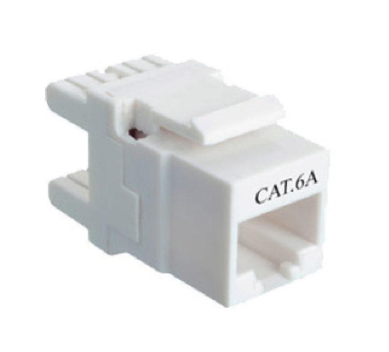 Competitive Unshielded CAT6A Keystone