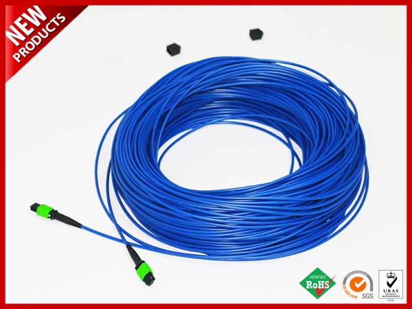 12 Cores Fiber Optic Armoured Singlemode MPO to MPO Patch Cables