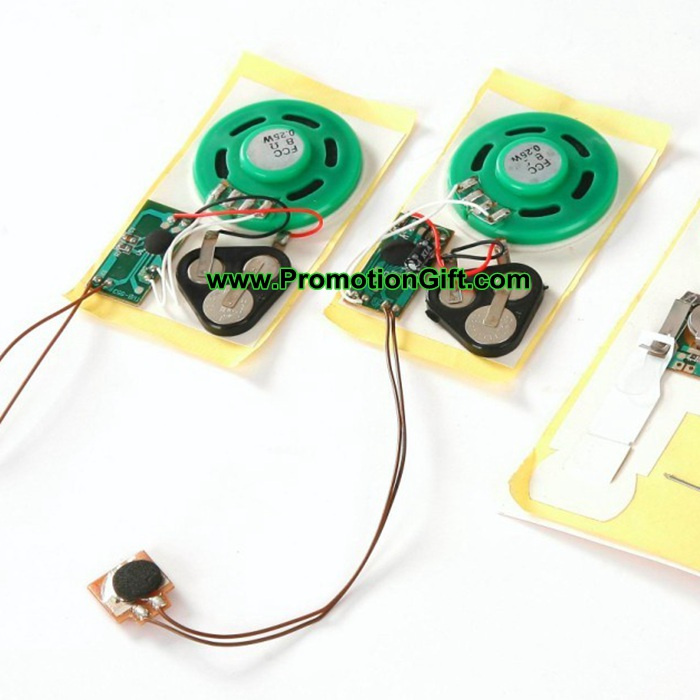 Recording Music Module