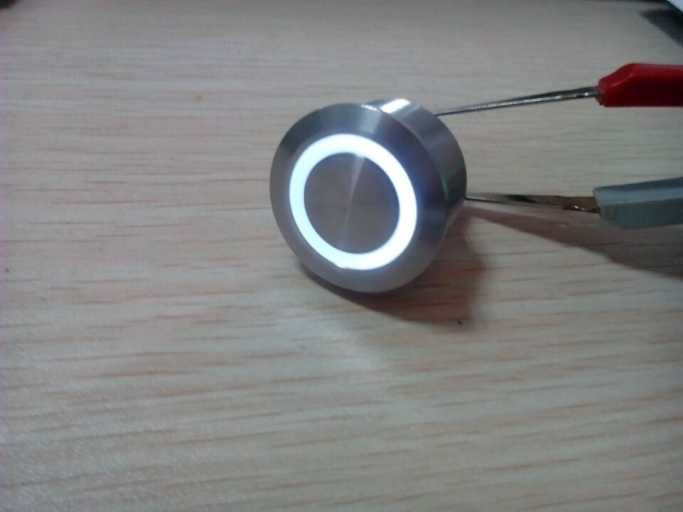 Metal Pushbutton Switch with LED