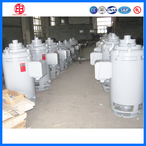 200HP Vhs Vertical Hollow-Shaft Three- Phase Pump Motor