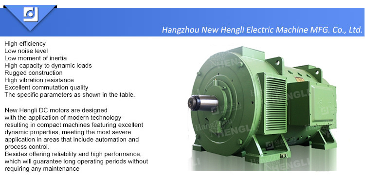 NHL Zzj -818 DC Electric Motor