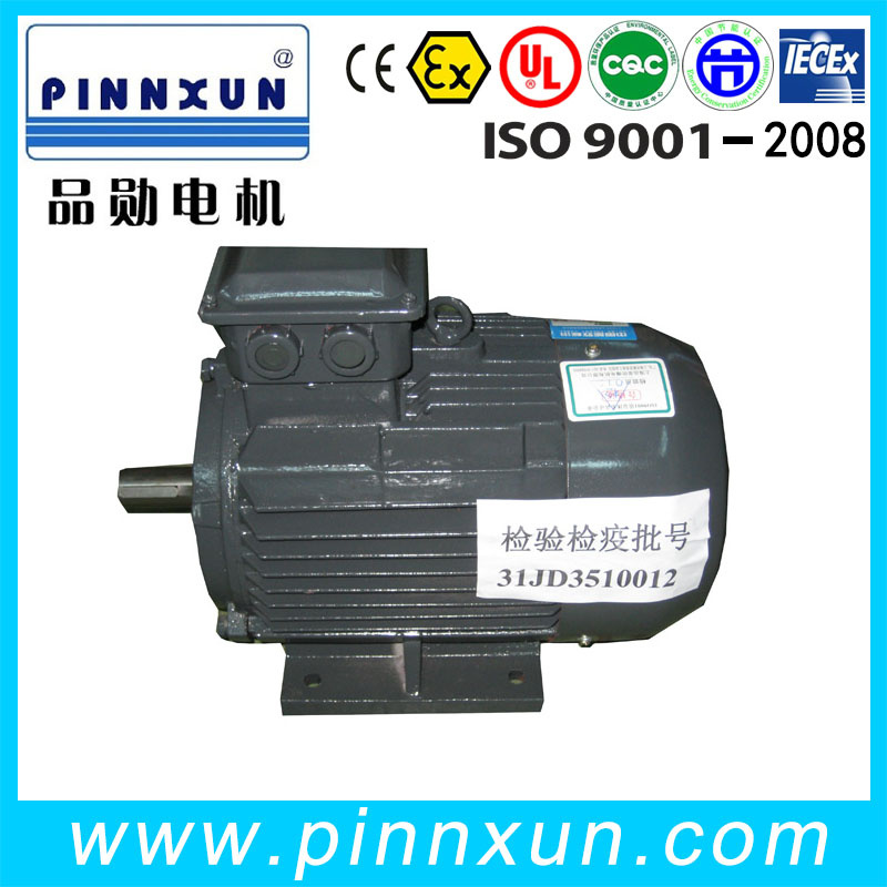 Y2 Series Squirrel Cage Induction Motor