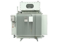 Petrochemical Power Transformer