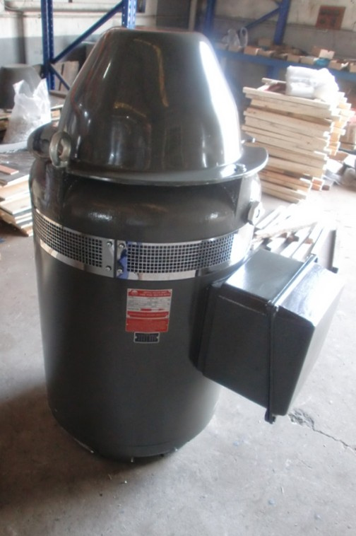 Vhs Motor and Vertical Hollow Shaft Motor for Deep Well