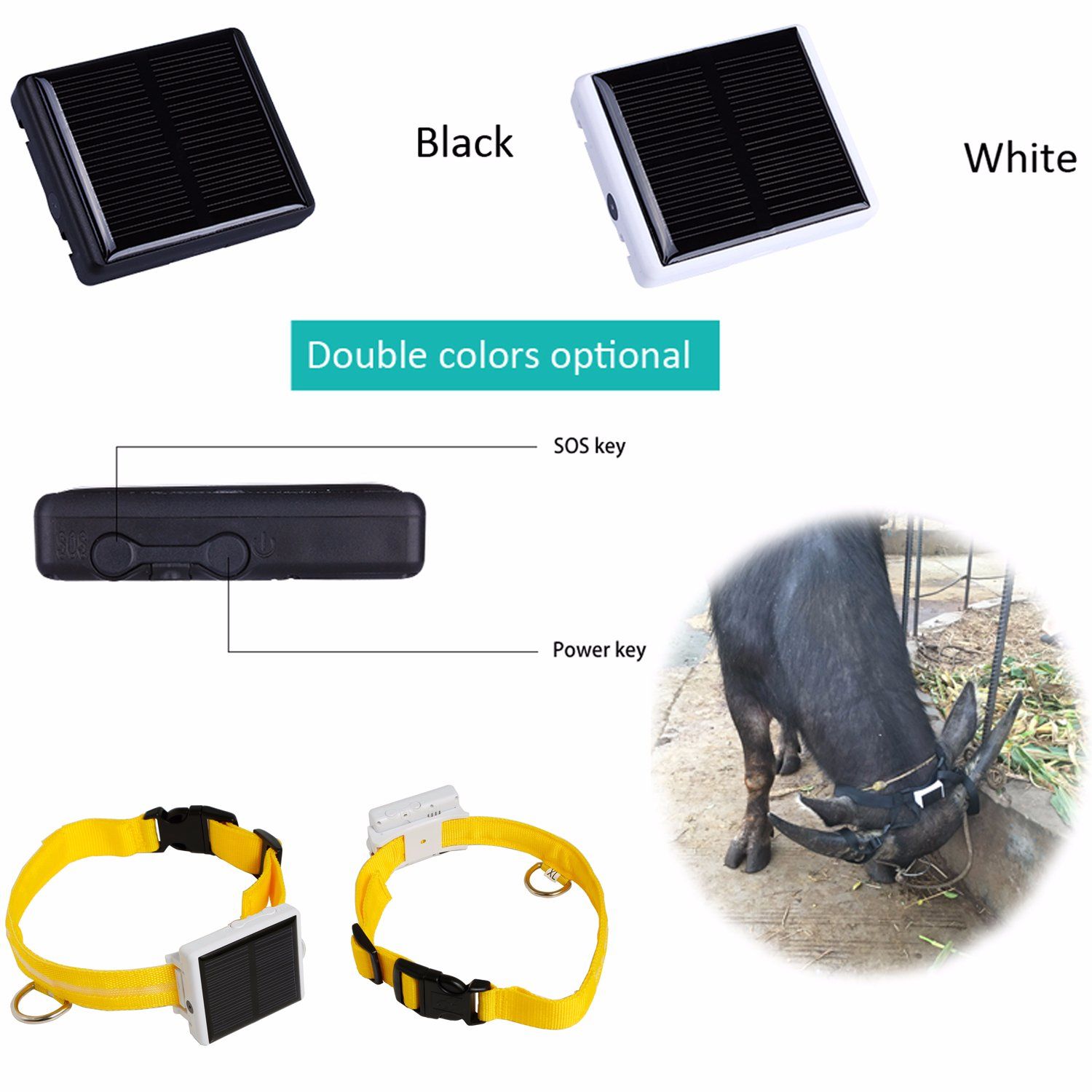 Waterproof Solar GPS Pet Tracker with Real Time Tracking V26
