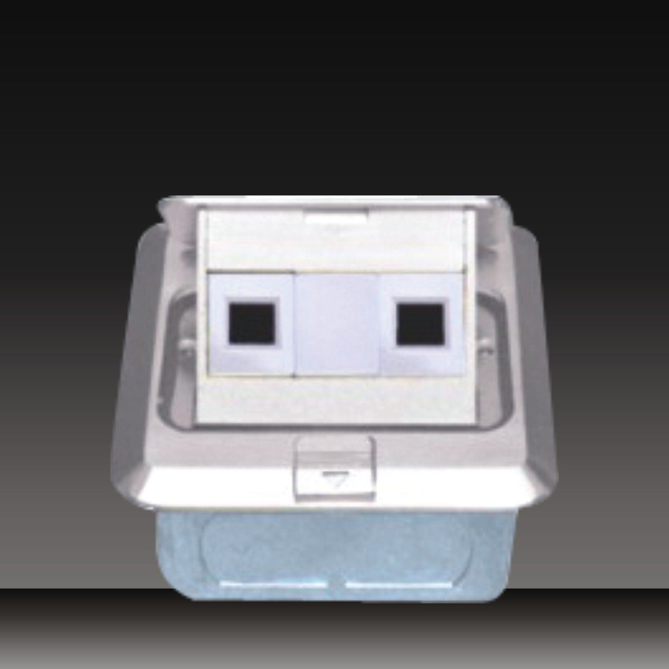 2 Gang Computer Socket (HDC-8-3)