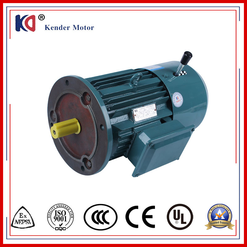 Yej Series AC Brake Induction Motor with High Efficiency