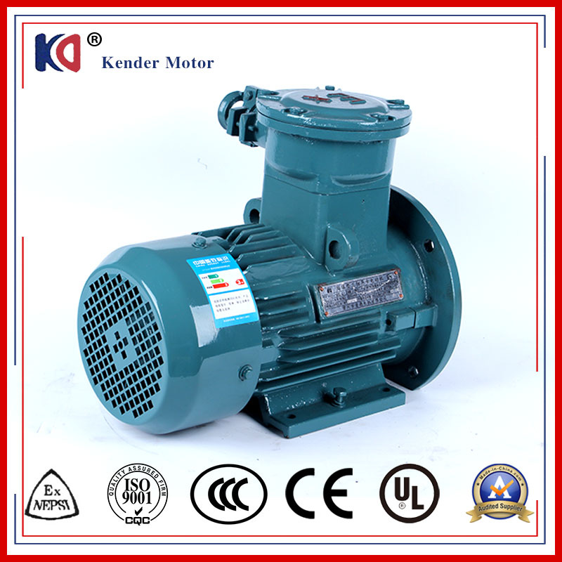 Single Phase Energy Saving Ex-Proof AC Motor