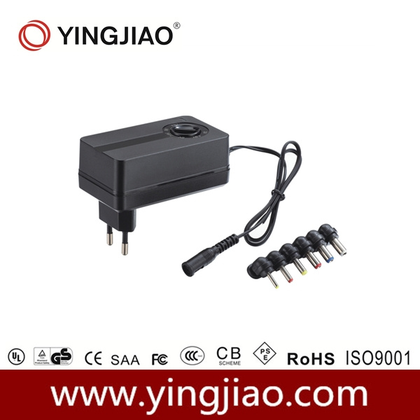 24W DC Variable Power Adaptor with CE