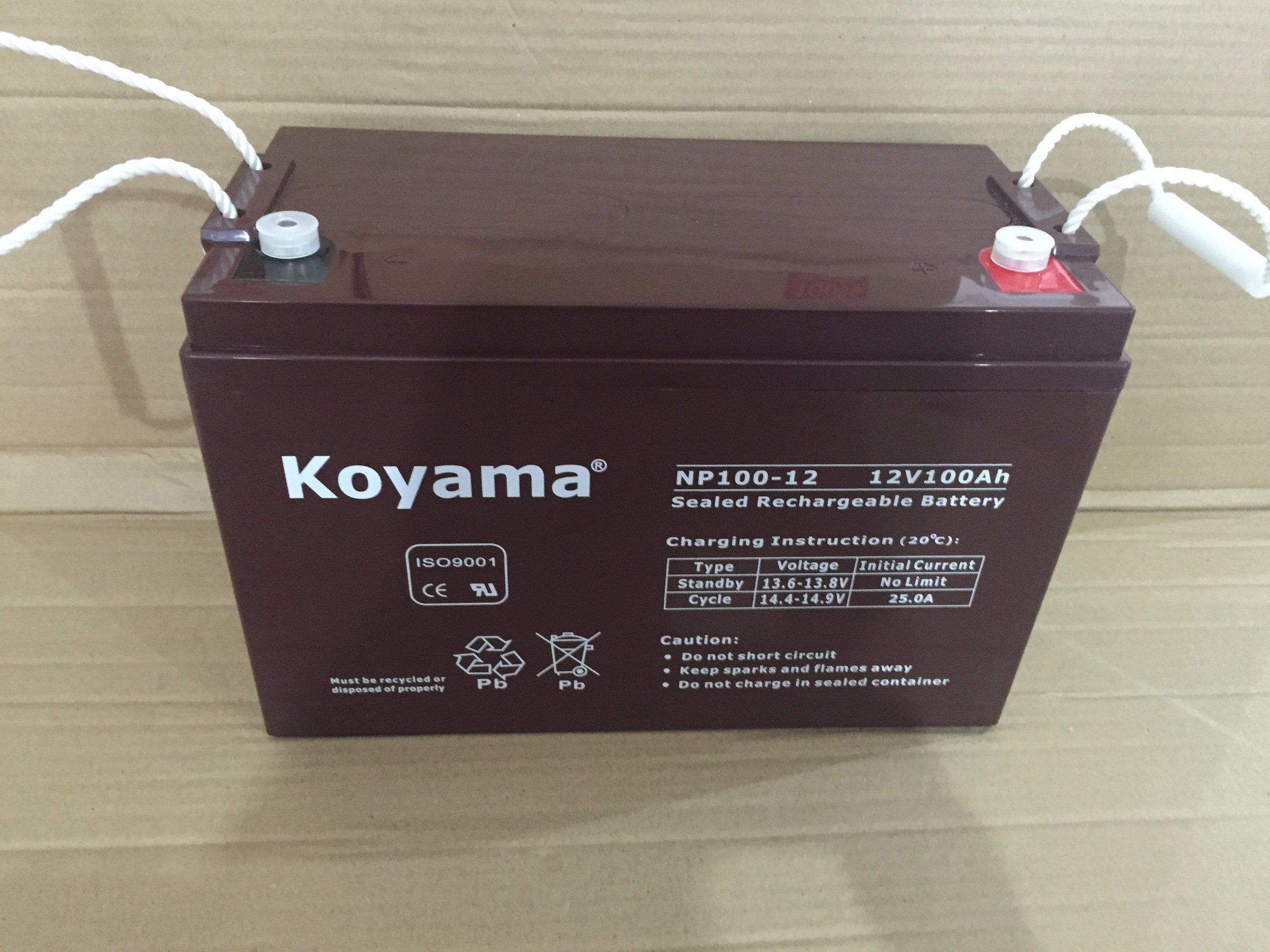 Np100-12 12V 100ah UPS Battery