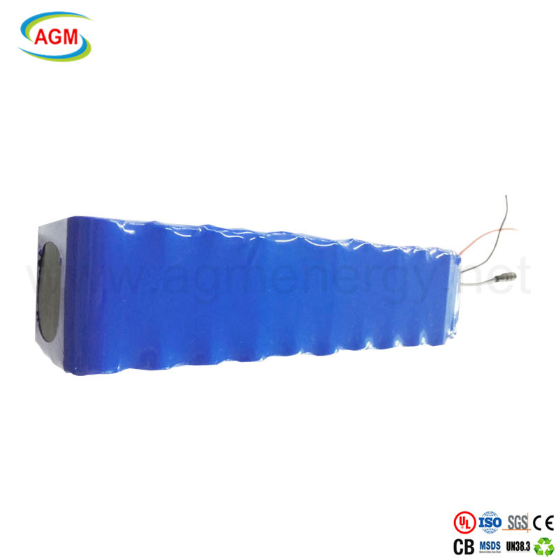 ISO SGS CB OEM 32V 12ah E-Bike Lithium Ion Battery Pack