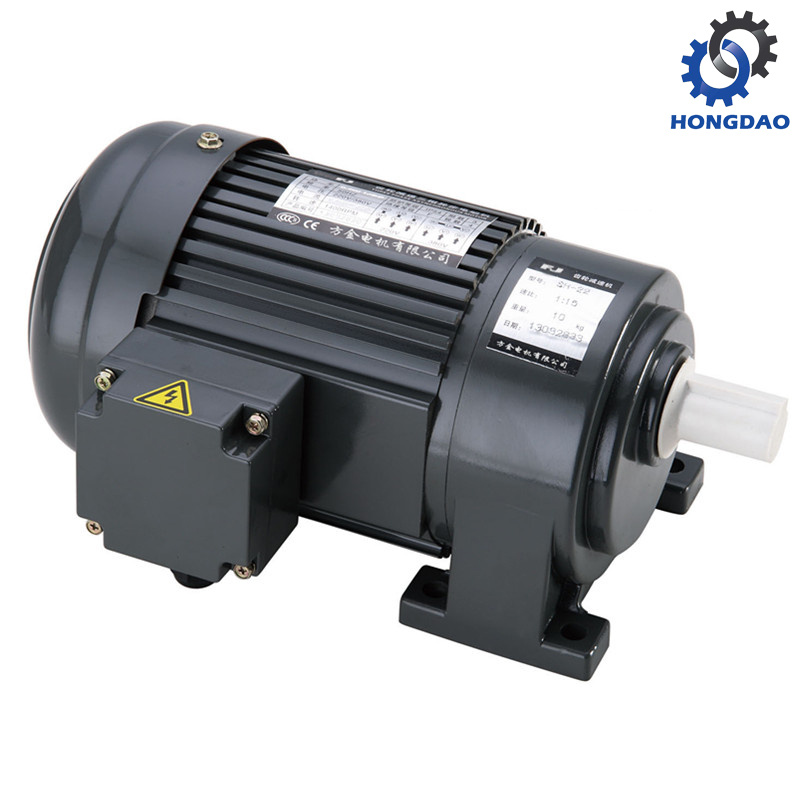 110V Horizonal Type Single-Phase Small AC Gear Motor -E