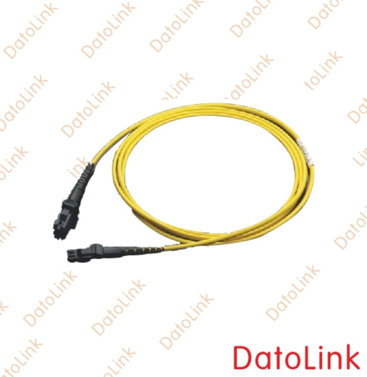 MTRJ Fiber Optic Patch Cord