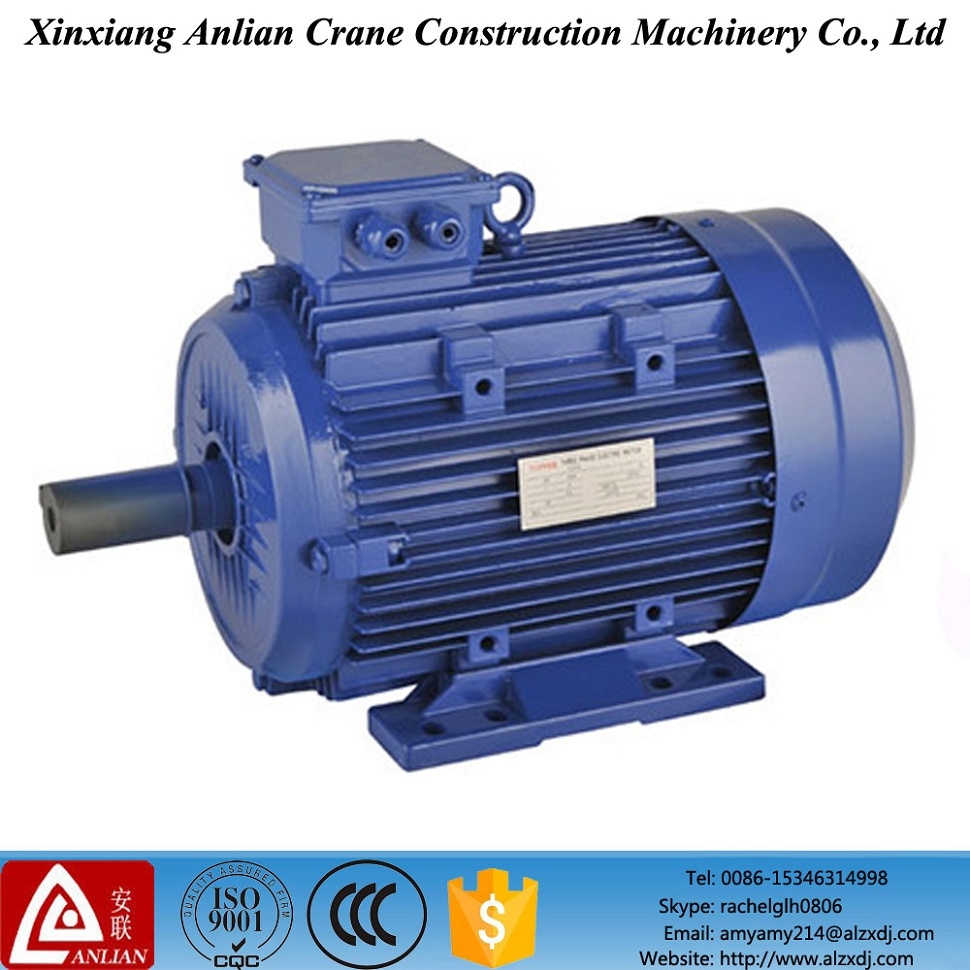 IEC Standard 3 Phase AC Electro Motor 1450 Rpm Motor