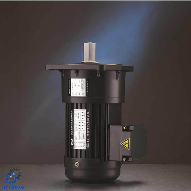 Vertical Type Small AC Gear Three-Phase Reduction Electric Motor_D