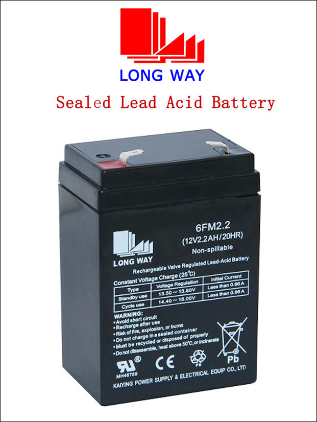 12V2.2ah AGM VRLA Battery for Electric Weighing Scale