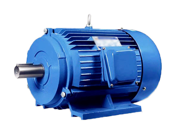 Hot Sale Three Phase Electric Motor with ISO System Certificates