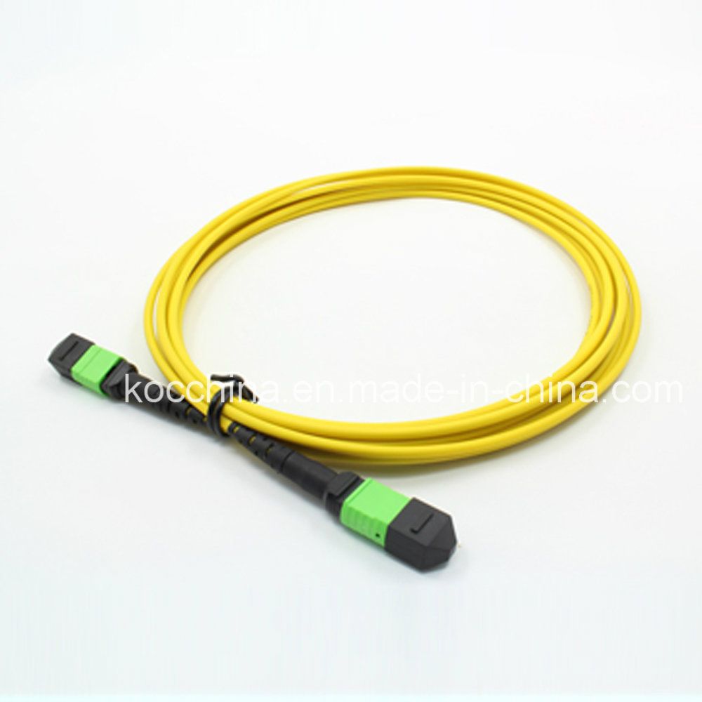 MPO 12cores Fiber Optic Patch-Cord