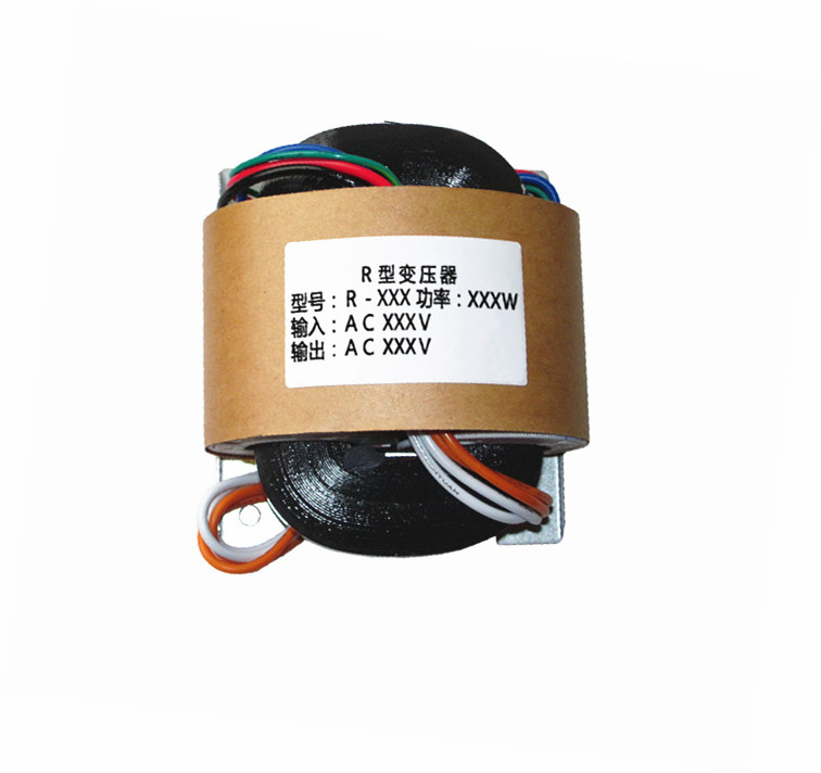R-Transformer There Is No Need to Design Any Anti Leakage Measures