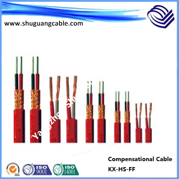 Tinned Conductor/F Plastic Insulation/Individual Screen/PVC Sheath/Compensational Cable