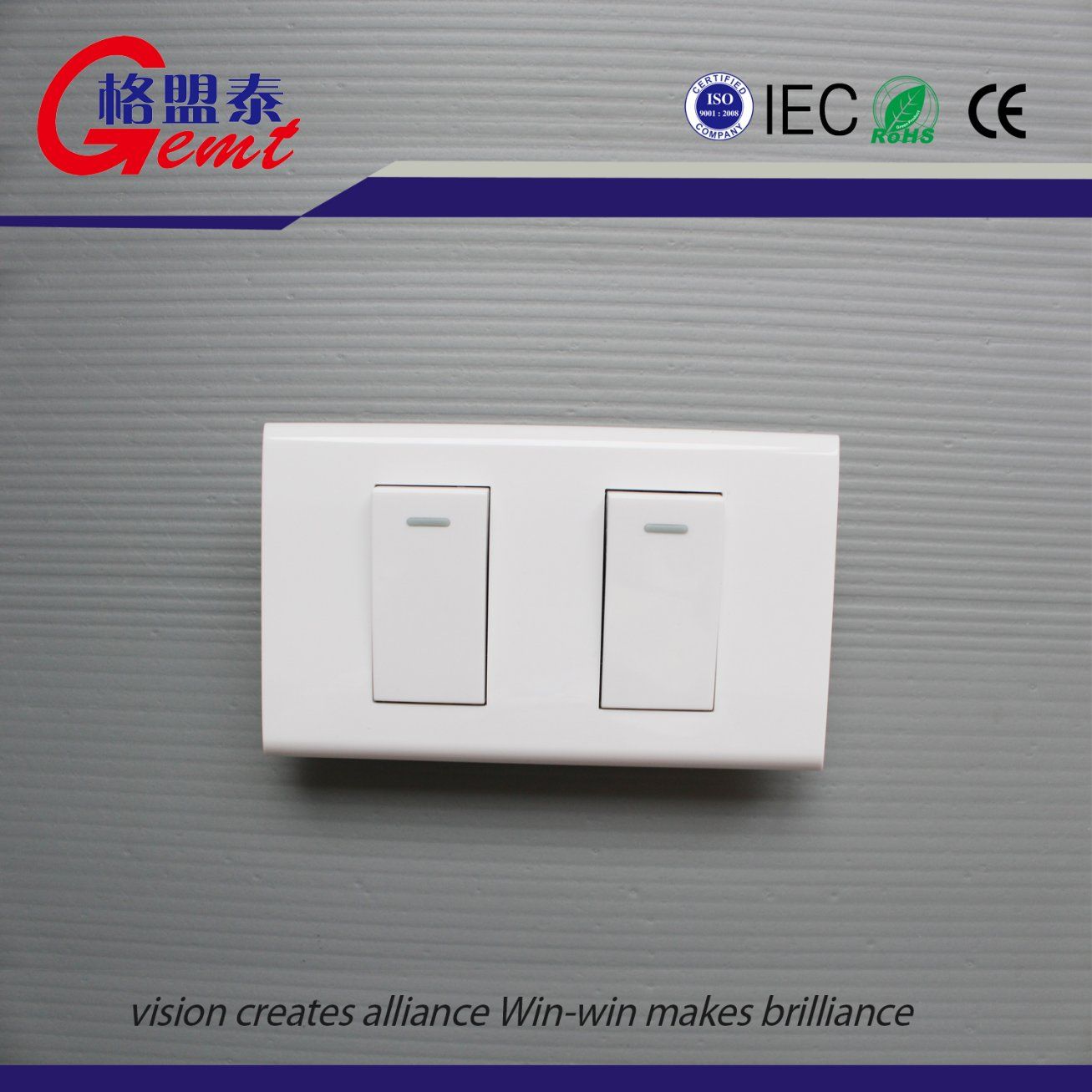 Double Electrical Wall Switch Electric Switch Socket Light Switch