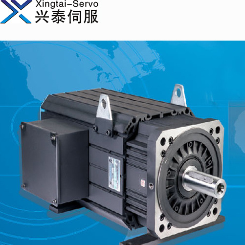 Three Phase AC Electric Servo Motor for Plastic Machine