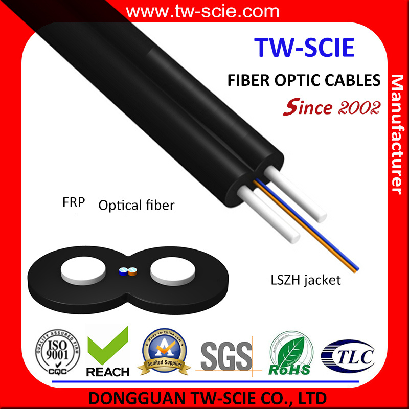 FTTH Drop Fiber Optic Cable with G. 652D/G. 657A 1/2/4 Core LSZH