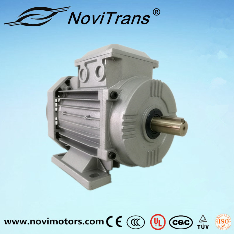 Burnout-Proof Permanent-Magnet Electric Motor 550W
