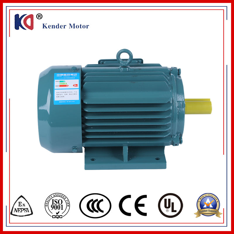 High Torque IEC Standard Asynchronous AC Motor