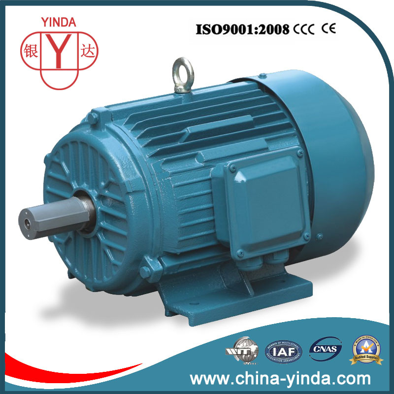 3/4-270HP Tefc-IP55 Three Phase AC Motor