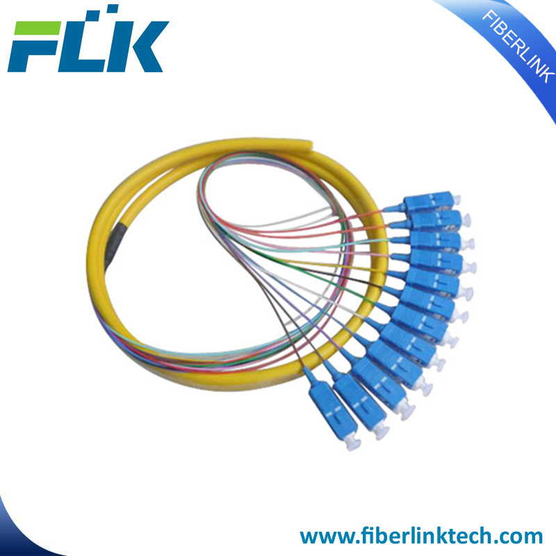 Bundle Mutil-Cores Fiber Optic Fan-out Pigtails Singlemode Multimode Sc/LC/FC/St/MTRJ/E2000 Upc/APC 12fibers Bunchy
