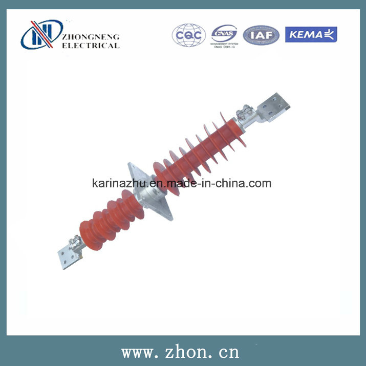 Fcgw-110/630 110kv Composite Through Wall Bushing Insulator