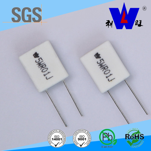 Rgc (RX27-6) Power Wirewound Variable Resistor with ISO9001