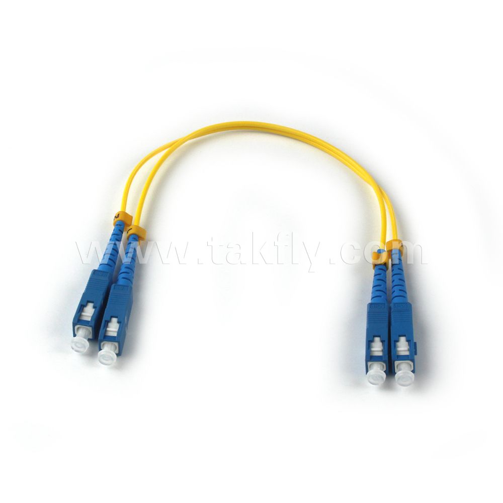 Sc Upc Singlemode OS1 9/125um Duplex Fiber Optic Patch Cord