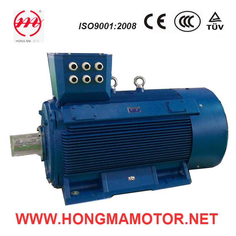 Electric Low-Voltage Large-Power AC Motor