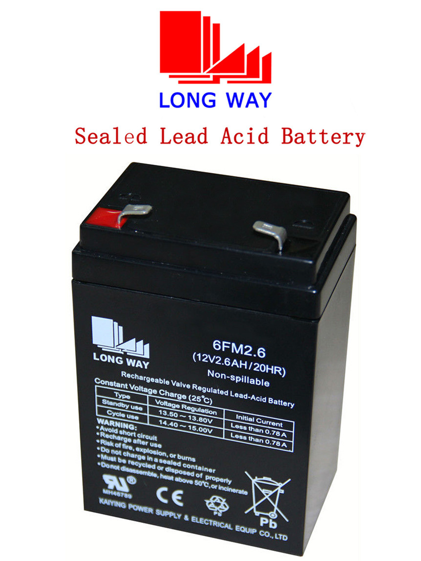 12V2.6ah/20hr Computer Sealed Lead-Acid UPS Battery