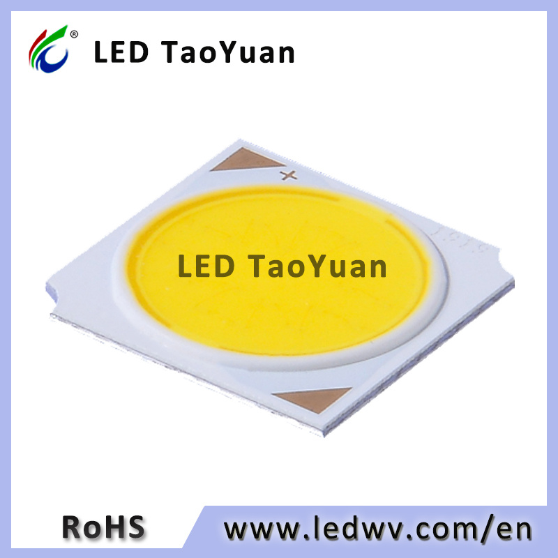 Spot Light Diode 19X19/17 40W High Power LED COB Chip