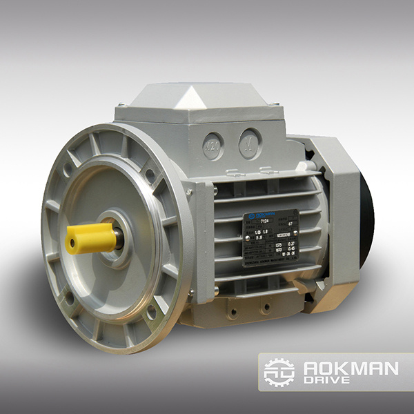 High Quality AC Motor Made in China